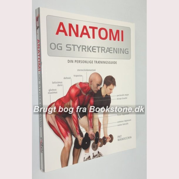 Anatomi og styrketrning: Pat Manocchia