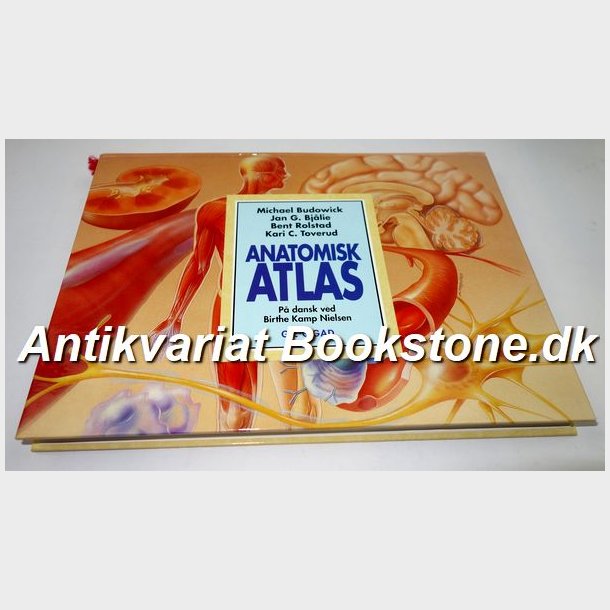Anatomisk Atlas: Michael Budowick m.fl.