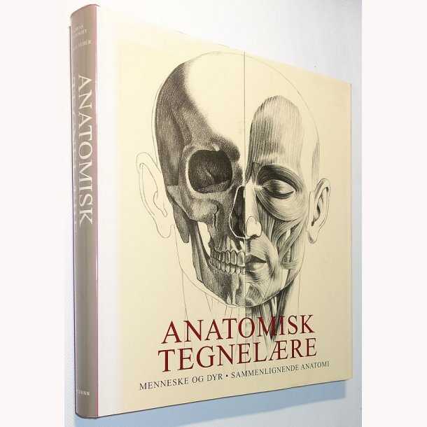 Anatomisk tegnelre