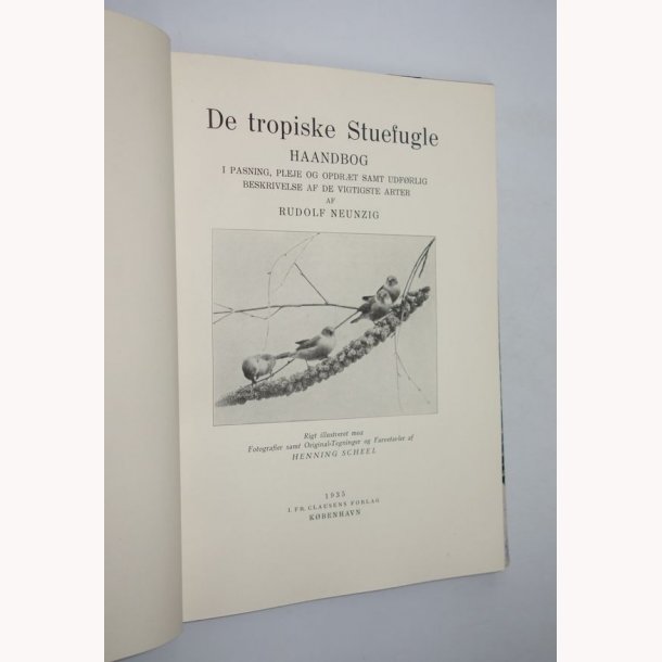 Begynderens akvarium + De tropiske stuefugle