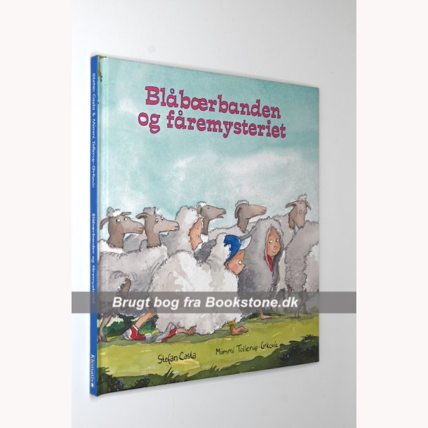 Bla&#778;brbanden og fa&#778;remysteriet