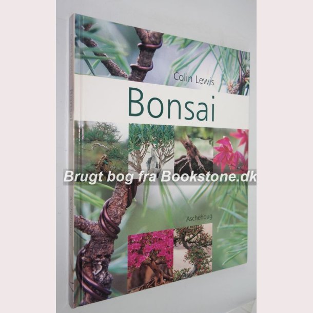 Bonsai 