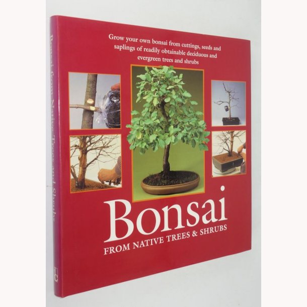 Bonsai  From Native Trees &amp; Shrubs