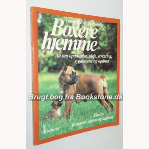 Boxere hjemme 