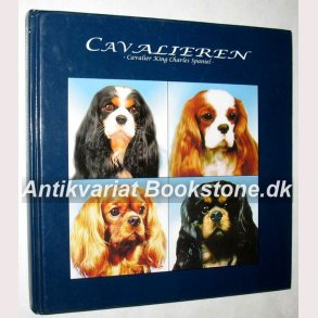 Cavalieren - King Charles Spaniel