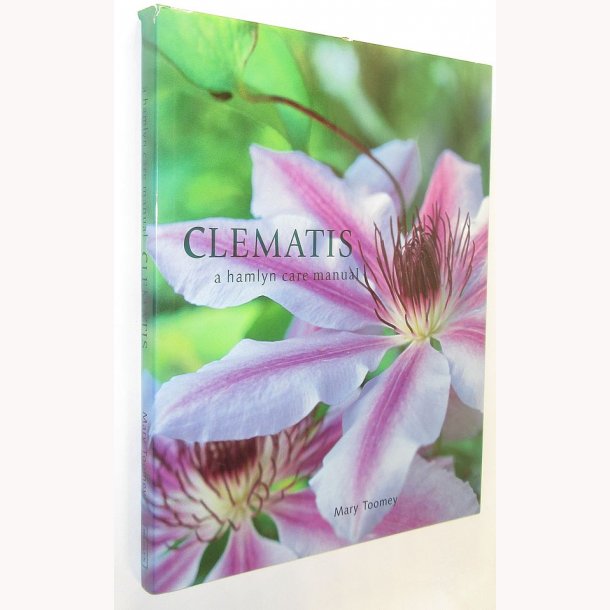Clematis