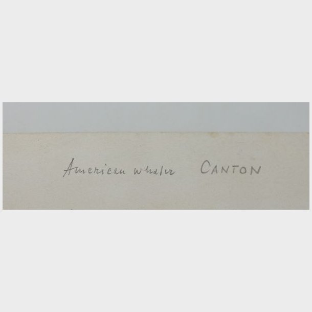 Whale Ships and Whaling