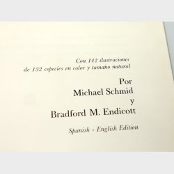 Mariposas de Venezuelaby 