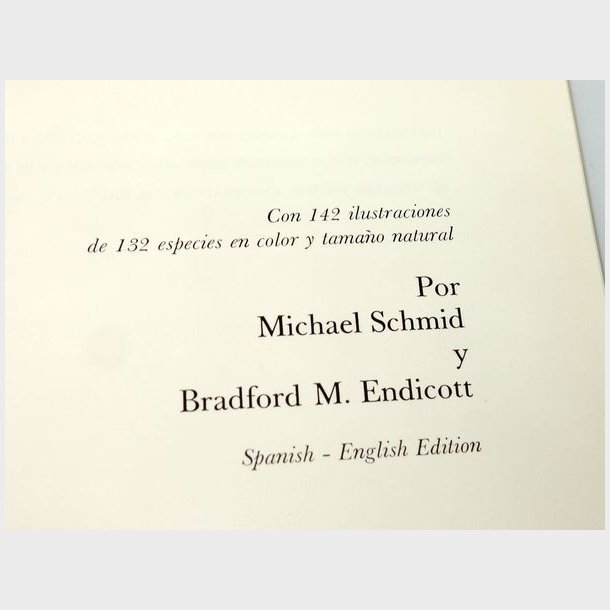 Mariposas de Venezuelaby 