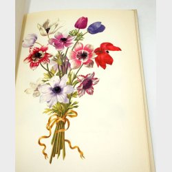 Barocke Blumenlust:Michael Neumann 