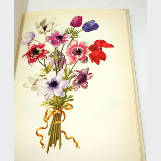 Barocke Blumenlust:Michael Neumann 