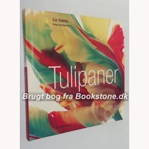 Tulipaner 