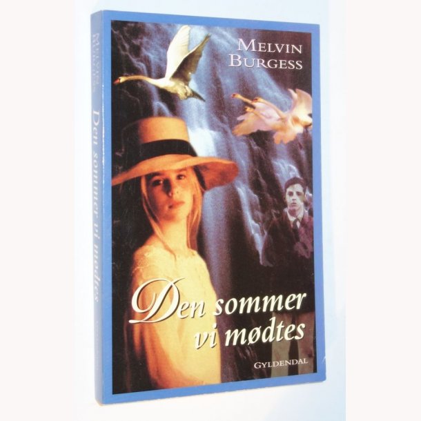 Den sommer vi mdtes