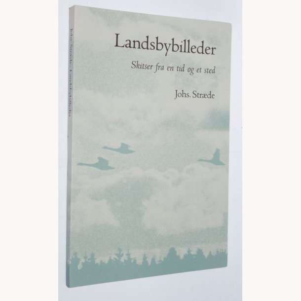 Landsbybilleder: skitser fra en tid og et sted