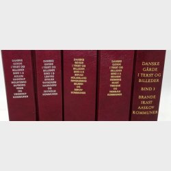 Danske grde i tekst og billeder Ringkbing Amt 5 Bind