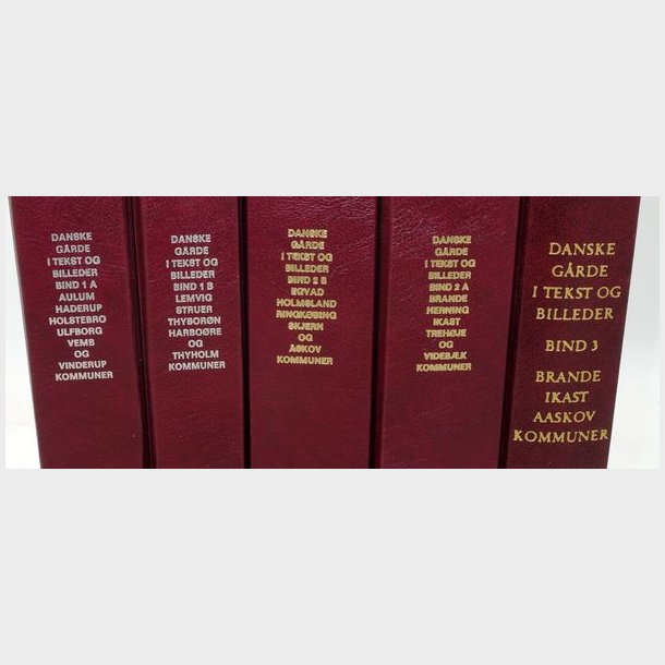 Danske grde i tekst og billeder Ringkbing Amt 5 Bind