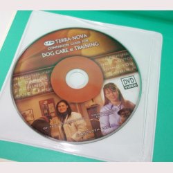 The Parson &amp; Jack Russell Terriers 