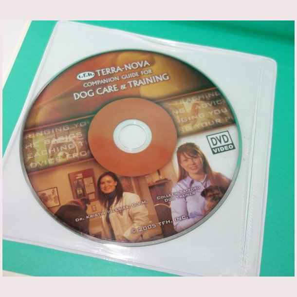 The Parson &amp; Jack Russell Terriers 