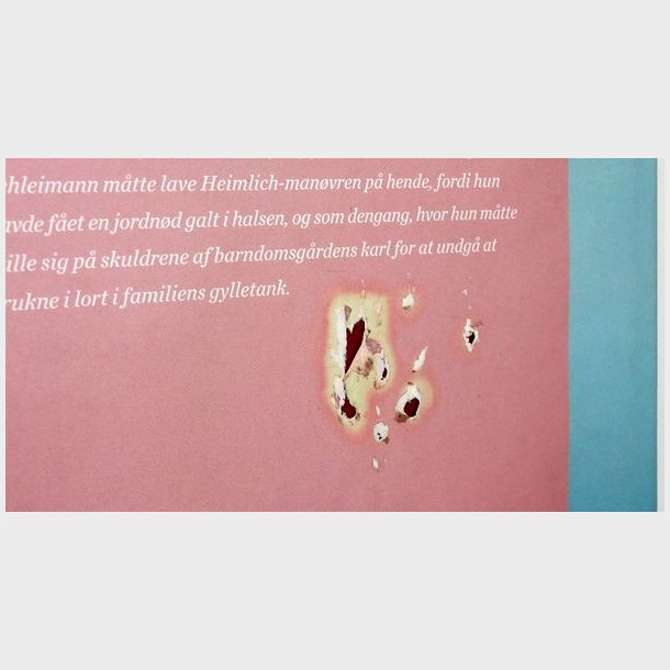 Det har jeg altid sagt: Kirsten Birgit Schitz Kretz Hrsholm