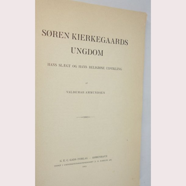 Sren Kierkegaards ungdom 