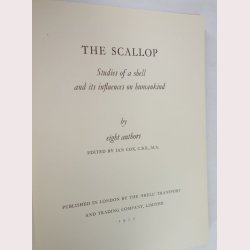 The Scallop
