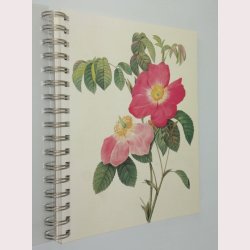 Roses - 2000 Taschen Diary