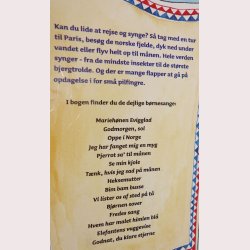 Hele verden synger Illustreret af Nana Torp