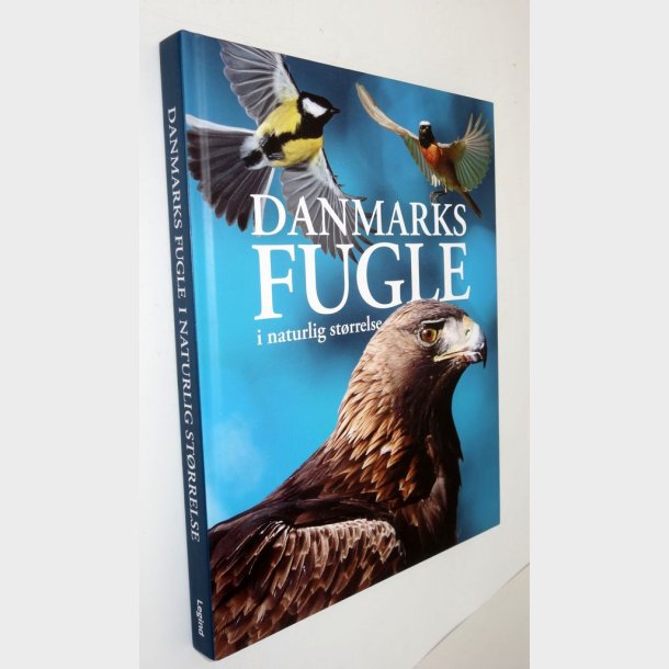 Danmarks fugle i naturlig st�rrelse: Nancy J. Hajeski