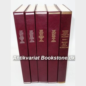 Danske grde i tekst og billeder Ringkbing Amt 5 Bind