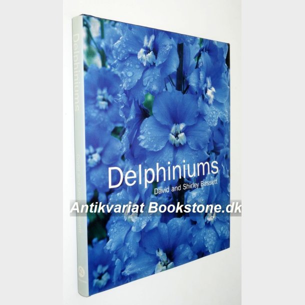 Delphiniums: David and Shirley Bassett