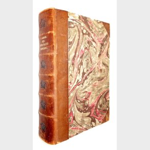 Den hvide races sejrsgang Bind 1+2 i 1 bind: W. Dreyer