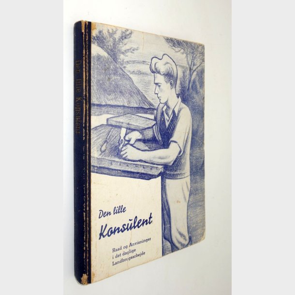 Den lille Konsulent: Willy Kernel og Holget �rs�e