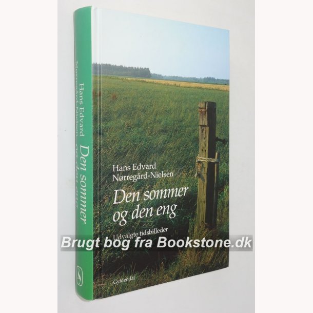 Den sommer og den eng - udvalgte tidsbilleder