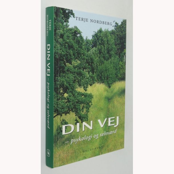 Din vej - psykologi og selvvrd 