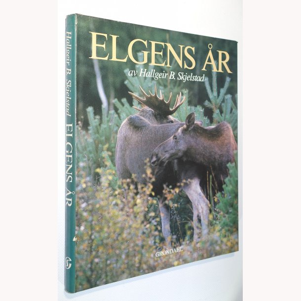 Elgens r