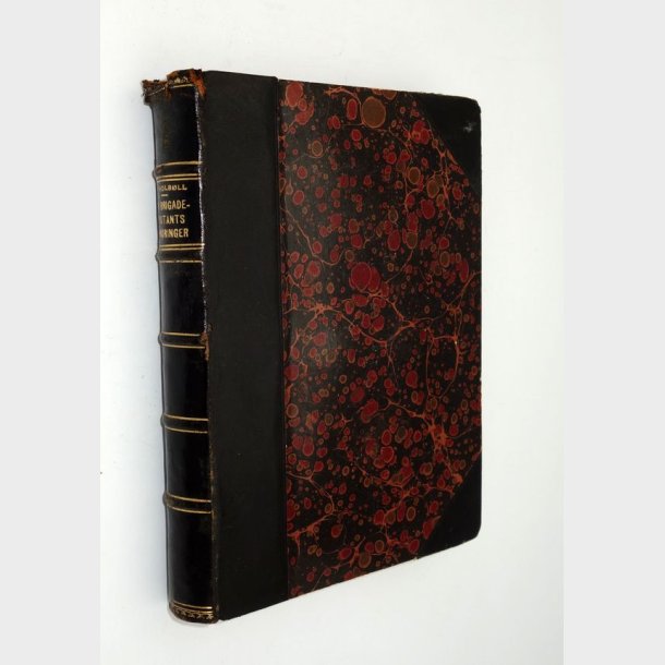 En Brigadeadjutants erindringer fra krigen 1864: H. Holbll