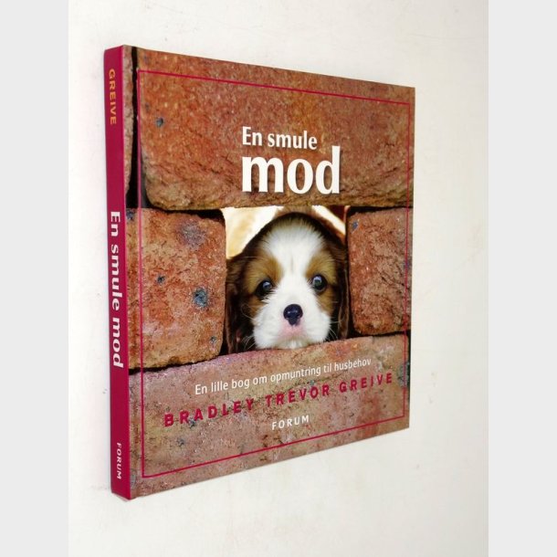 En smule mod: Bradley Trevor Greive