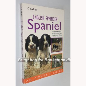 English Springer Spaniel 