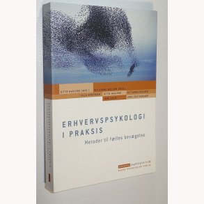 Erhvervspsykologi i praksis