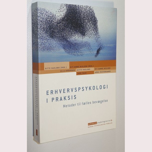 Erhvervspsykologi i praksis