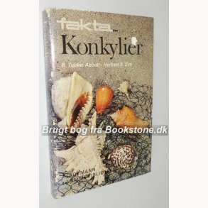 Fakta om Konkylier