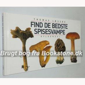 Find de bedste spisesvampe