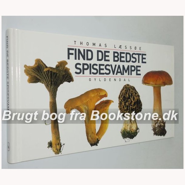 Find de bedste spisesvampe