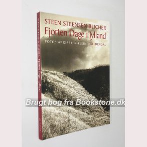 Fjorten dage i Jylland