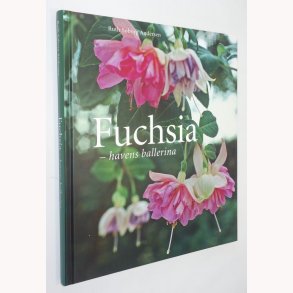 Fuchsia - havens ballerina