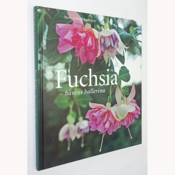 Fuchsia - havens ballerina