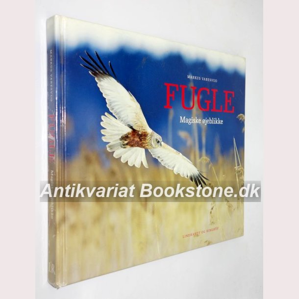 Fugle - Magiske jeblikke 