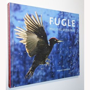 Fugle - Magiske jeblikke