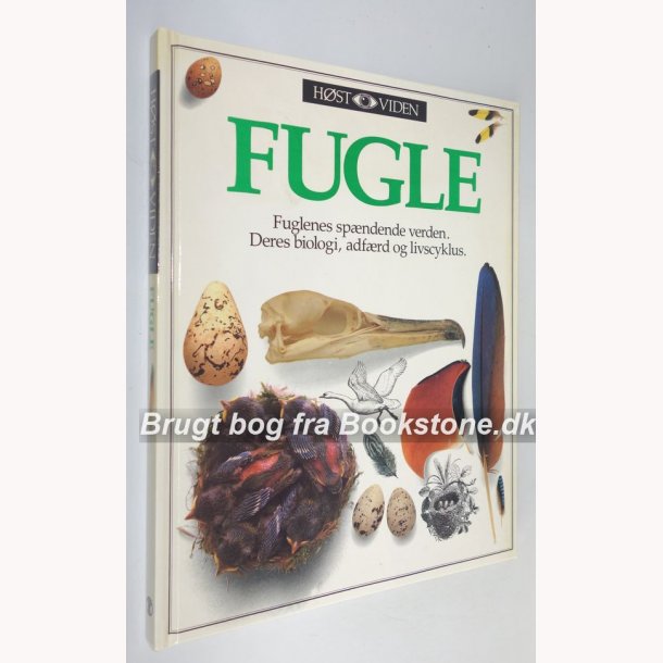 Fugle