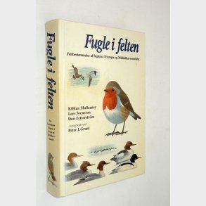 Fugle i felten: Killian Mullarney og Lars Svensson